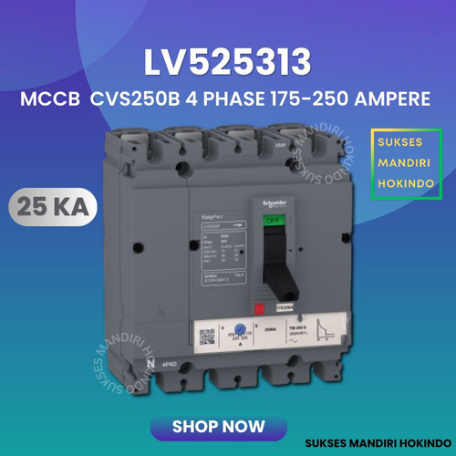 [EZM.1110124] MCCB 4 Phase 250 Ampere 4P 250A Breaker CVS250B 25kA LV525313 4 Pas 250 Amper Schneider Original SNI