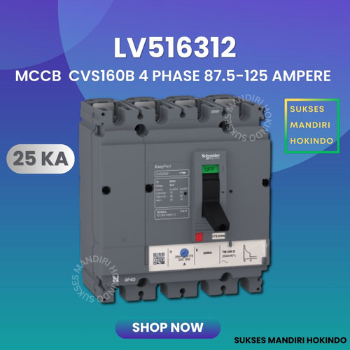 [EZM.1110127] MCCB 4 Phase 125 Ampere 4P 125A Breaker CVS160B 25kA LV516312 4 Pas 125 Amper Schneider Original SNI