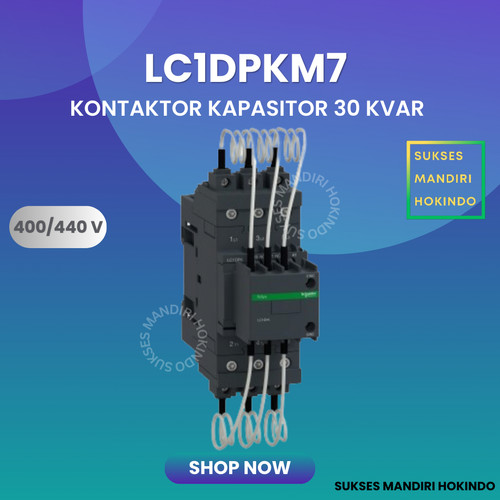 [EZM.1110207] Kontaktor Kapasitor Schneider LC1DK 30kVAr 400-415V 220 VAC LC1DPKM7 Original SNI