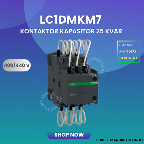 [EZM.1110208] Kontaktor Kapasitor Schneider LC1DK 25kVAr 400-415V 220 VAC LC1DMKM7 Original SNI