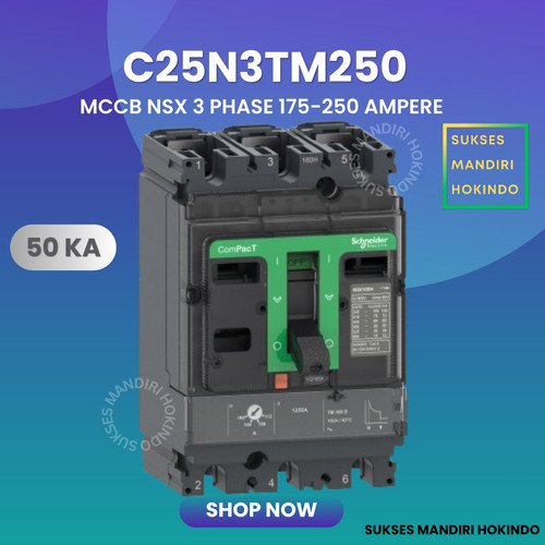 [EZM.1110229] MCCB 3 Phase 250 Ampere 3P 250A Breaker 50kA 175-250 Amper C25N3TM250 NSX250N Schneider Original SNI
