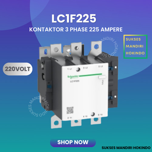 [EZM.1110315] Kontaktor 3P 225A 3 Pas 225 Ampere LC1F225 Schneider 220V Original SNI