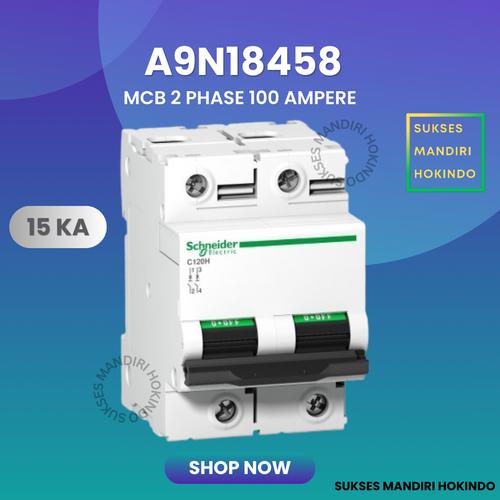 [EZM.1110546] MCB C120H 2P 100A 2 Phase 100 Ampere 15kA Schneider Original SNI