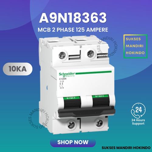 [EZM.1110550] MCB 2 Phase 125 Ampere C120N 10kA Schneider 2P 125A Original SNI 100%