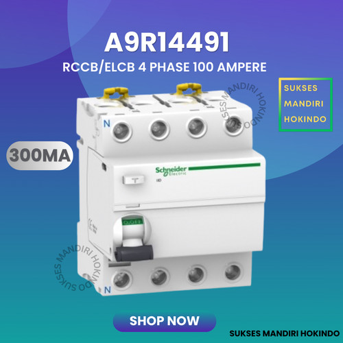 [EZM.1110652] Elcb 4P 100A 4Phase 100Ampere 300mA RCCB ilD Schneider A9R14491 ORI