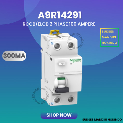 [EZM.1110657] Elcb 2P 100A 2Phase 100Ampere 300mA RCCB ilD Schneider A9R14291 ORI