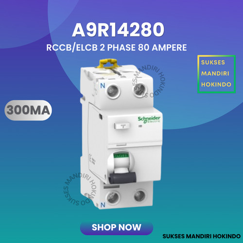 [EZM.1110658] Elcb 2P 80A 2Phase 80Ampere 300mA RCCB ilD Schneider A9R14280 Original
