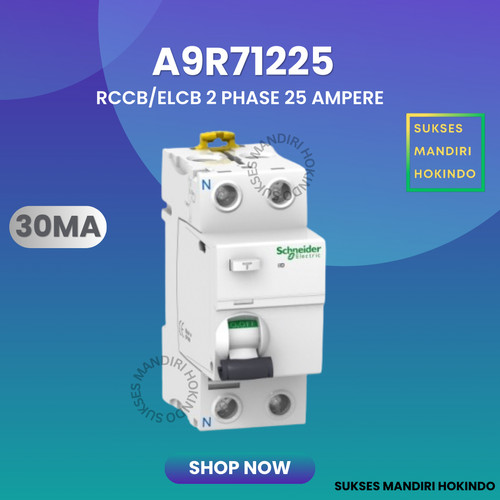 [EZM.1110664] Elcb 2P 25A 2Phase 25Ampere 30mA RCCB ilD Schneider A9R71225 Original