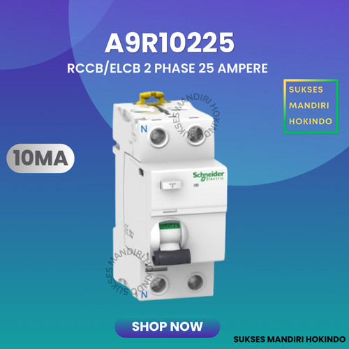 [EZM.1110665] Elcb 2P 25A 2Phase 25Ampere 10mA RCCB ilD Schneider A9R10225