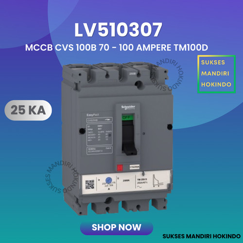 [EZM.1110686] MCCB 3P 100A 25kA CVS100 B TM100D LV510307 Schneider Original SNI