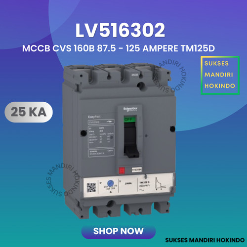 [EZM.1110695] MCCB 3P 25kA 87,5 -125 A TM125D CVS100-250B Original SNI Schneider