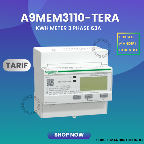 [EZM.1110707] KWH Energi Meter IEM3110 3 phase 63 Ampere Pulse Output Schneider ORI