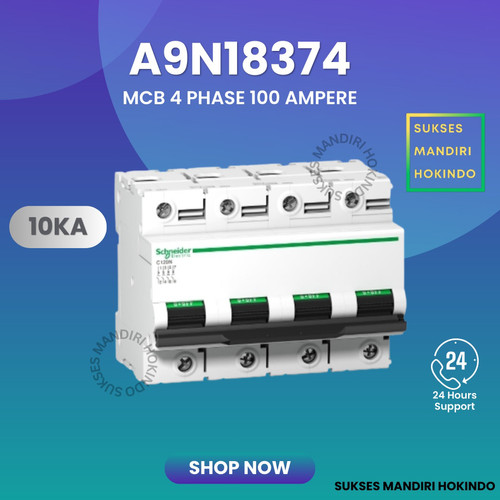 [EZM.1110728] MCB 4 Phase 100 Ampere C120N Schneider 500 VDC Original SNI