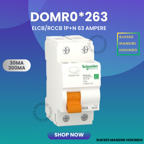 [EZM.1110745] ELCB 2P 63A 2 Phase 63 Ampere 30mA 300mA RCCB Domae Schneider ORI SNI