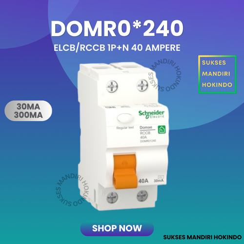 [EZM.1110746] ELCB 2P 40A 2 Phase 40 Ampere 30mA 300mA RCCB Domae Schneider ORI SNI