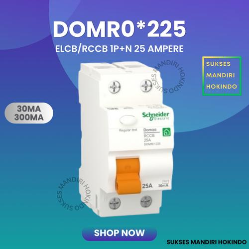 [EZM.1110747] ELCB 2P 25A 2 Phase 25 Ampere 30mA 300mA RCCB Domae Schneider ORI SNI