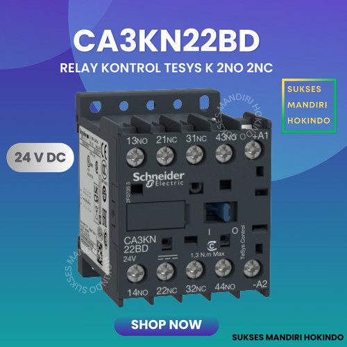 [EZM.1110805] CA3KN22BD Kontaktor Schneider Relay Control 2NO2 NC 24 VDC Original SN