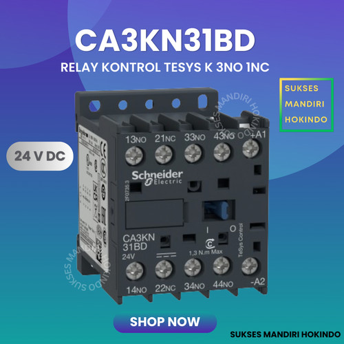[EZM.1110806] CA3KN31BD Kontaktor Schneider Relay Control 2NO2 NC 24 VDC OriginalSNI