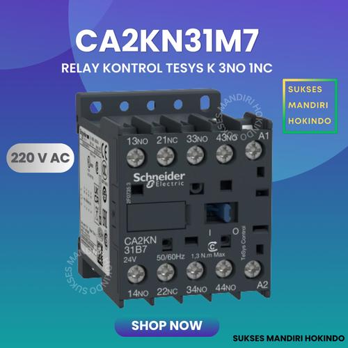 [EZM.1110809] CA2KN31M7 Kontaktor Schneider Relay Control K 4NO 220 VAC Original SNI