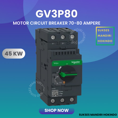 [EZM.1110812] GV3P80 GV3P 80 Schneider Motor Circuit Breaker Original SNI 100%