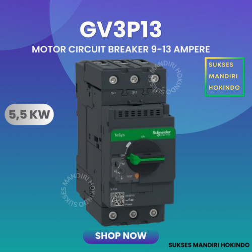 [EZM.1110819] GV3P13 GV3P 13 Schneider Motor Circuit Breaker Original SNI 100%