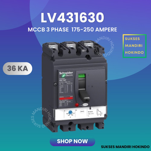 [EZM.1110874] MCCB 3P 250A 36kA LV431630 Breaker Schneider NSX 100F Original SNI