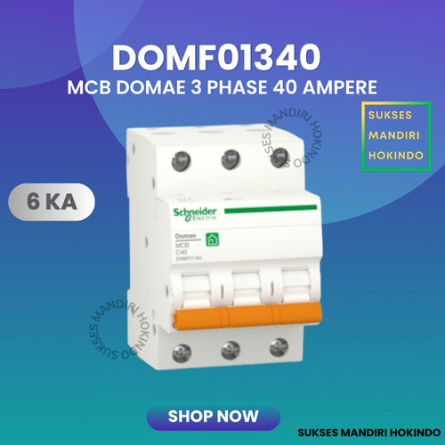 [EZM.1110901] MCB 3 Phase 40 Ampere 3p 40a 3pole Schneider Domae Baru 6kA ORI SNI