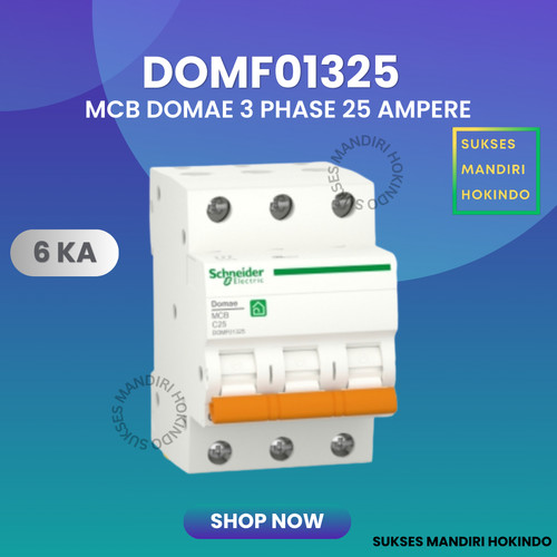 [EZM.1110903] MCB 3 Phase 25 Ampere 3p 25a 3pole Schneider Domae Baru 6kA ORI SNI