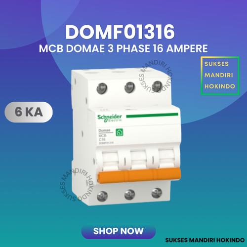 [EZM.1110905] MCB 3 Phase 16 Ampere 3p 16a 3pole Schneider Domae Baru 6kA ORI SNI