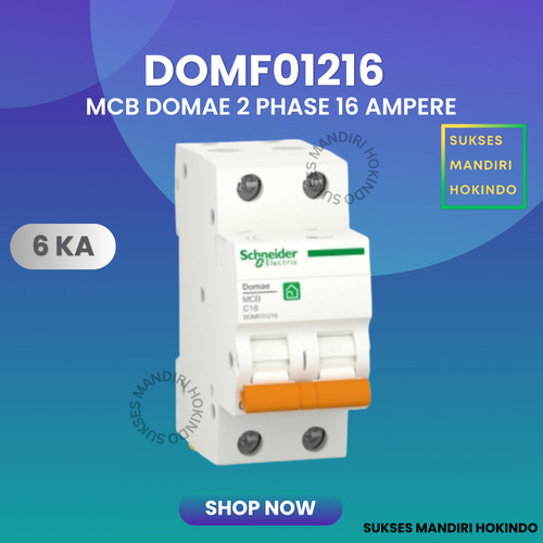 [EZM.1110913] MCB 2 Phase 16 Ampere 2p 16a 2pole Schneider Domae Baru 6kA ORI SNI