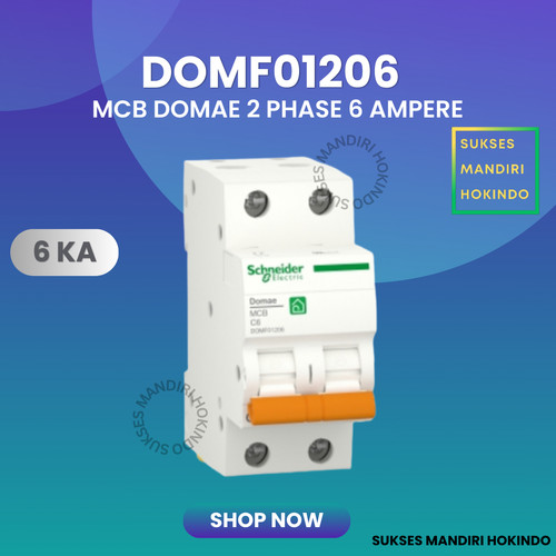 [EZM.1110915] MCB 2 Phase 6 Ampere 2p 6a 2pole Schneider Domae Baru 6kA ORI SNI 100%