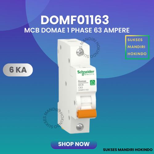[EZM.1110918] MCB 1 Phase 63 Ampere 1p 63a 1pole Schneider Domae Baru 6kA ORI SNI