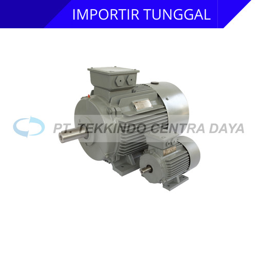 [EZM.9900007] Electric Motor MEZ 380V 50HZ 3 Phase B3 IE2