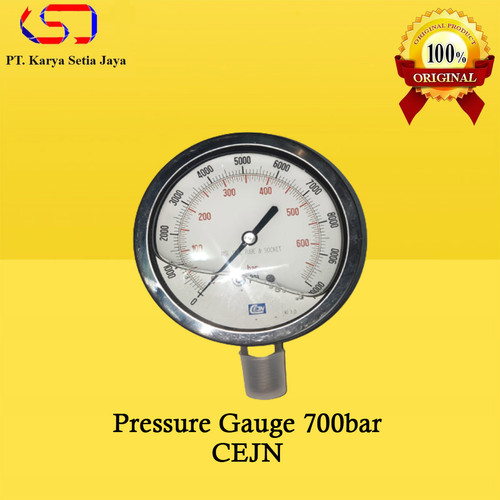 [EZO.1900025] Pressure Gauge 700bar CEJN