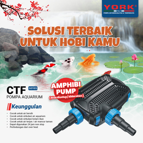 [EZM.9100015] Pompa Pond Kolam Ikan York CTF