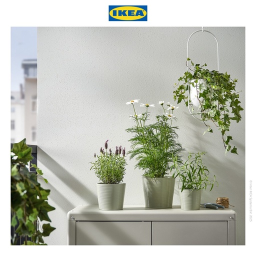 [EZO.0500071] IKEA BROKSPIREA Pot Tanaman Hijau Muda 12cm