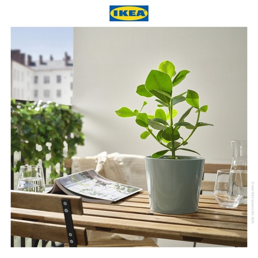 [EZO.0500093] IKEA SOJABONA Pot Tanaman Abu-abu/Hijau 9cm