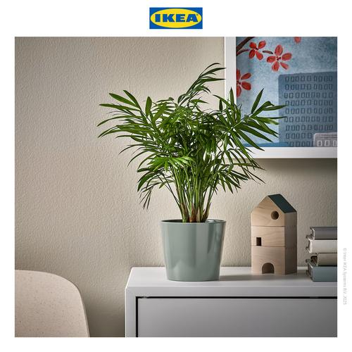 [EZO.0500093] IKEA SOJABONA Pot Tanaman Abu-abu/Hijau 9cm