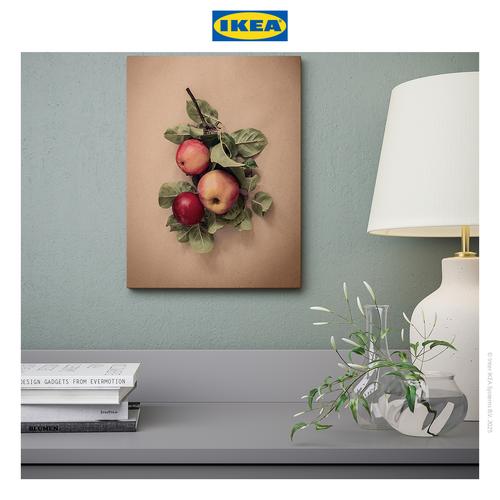 [EZO.0500100] IKEA PJATTERYD Poster Gambar Daun Dengan Apel 30x40cm