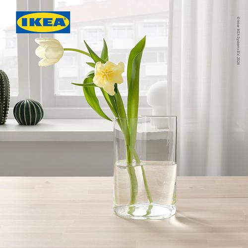[EZO.0500106] IKEA CHILIFRUKT Vas /  Penyiram Tanaman Serbaguna Bahan Kaca 21cm
