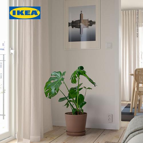 [EZO.0500107] IKEA KLARBAR Pot Tanaman Dengan Alas Dalam/Luar Ruangan Cokelat 24cm
