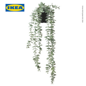 [EZO.0500491] IKEA FEJKA Tanaman Hias Dalam pot Eucalyptus 9cm