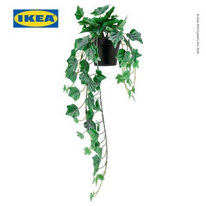[EZO.0500550] IKEA FEJKA Tanaman Hias Gantung Ivy Dalam Pot 12cm