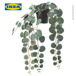 [EZO.0500582] IKEA FEJKA Tanaman Tiruan Gantung String of Hearts Dalam Pot 9cm