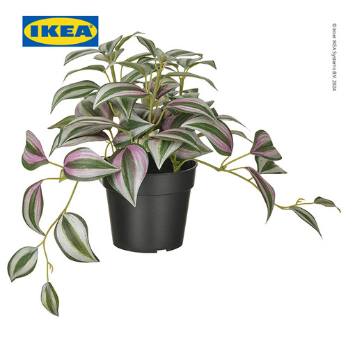 [EZO.0500872] IKEA FEJKA Tanaman Hias Spiderwort dengan Pot 9 cm
