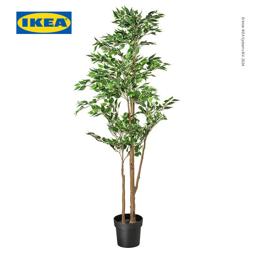 [EZO.0500933] IKEA FEJKA Tanaman Hias Palsu Ficus Benjamina Exotica dengan Pot Dalam/Luar Ruangan 21cm