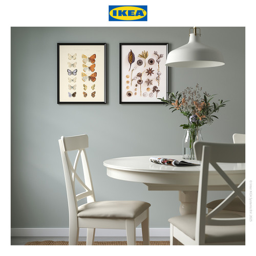 [EZO.0501845] IKEA BILD Poster Gambar Kupu-Kupu dan Benih 40x50cm Isi 2pcs