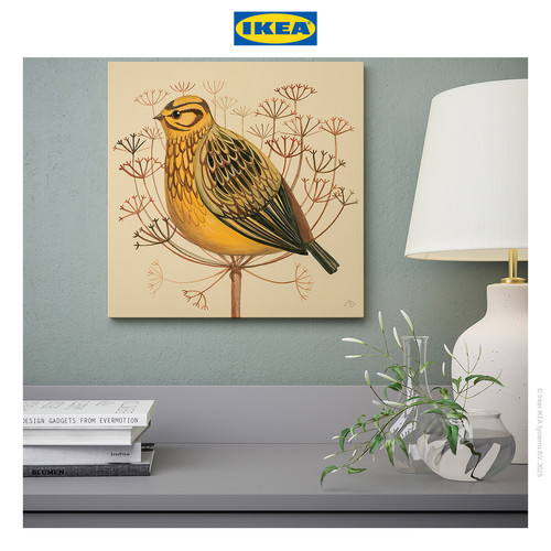 [EZO.0501854] IKEA PJATTERYD Poster Gambar Burung Yellowhammer 40x40cm